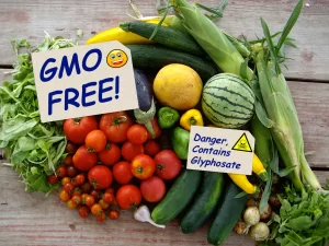 Non-GMO Food